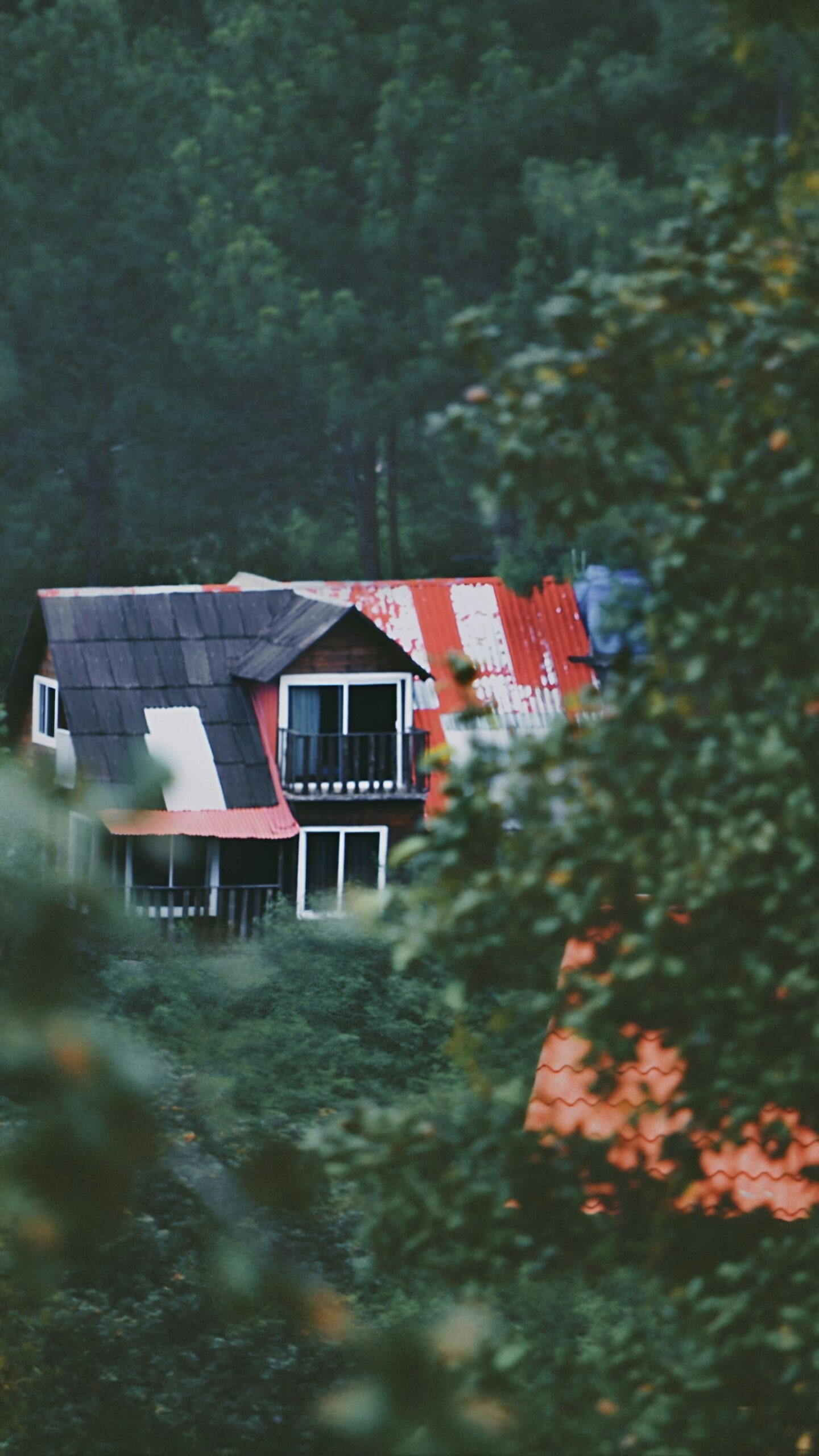 Marc Ian Griffin’s Journey: From Military to Real Estate